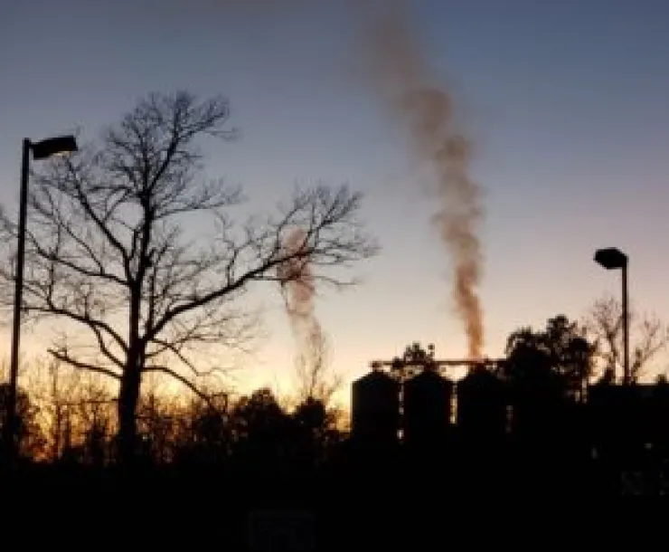 CHP-TX-1900-WoodvillePellets.jpg