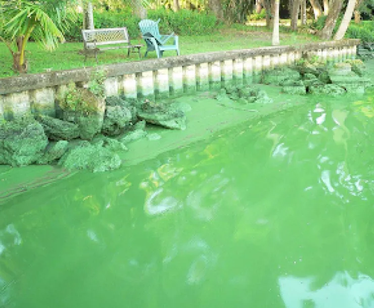 Caloosahatchee River.2005.png