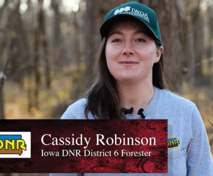 Cassidy Robinson on Lamson Woods.png