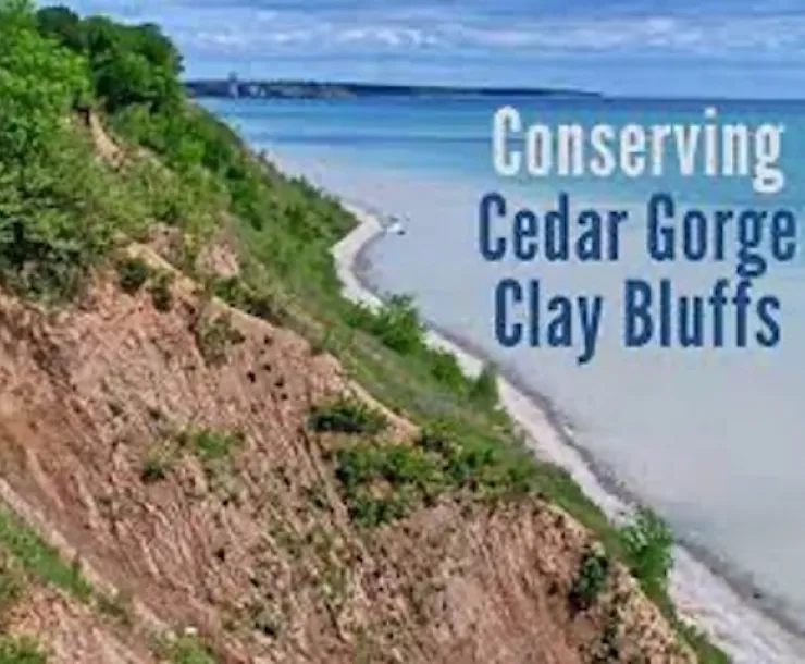 Cedar Gorge.jpg