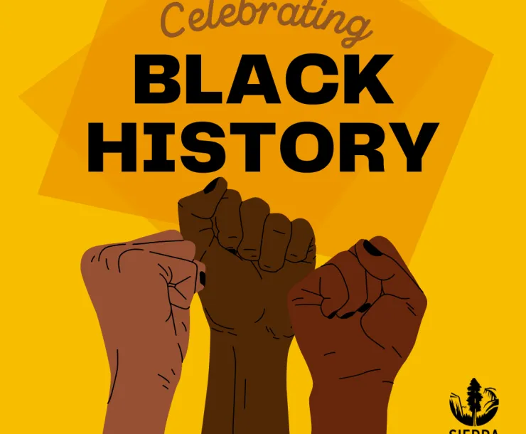 Celebrating BHM.png