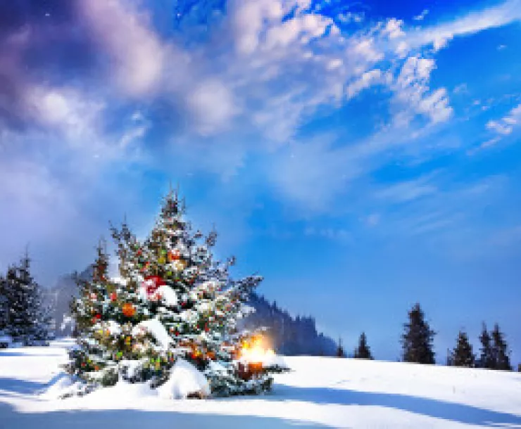 ChristmasTree_123rf-byheaven_300.jpg
