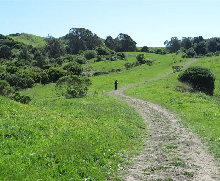 Clark Road trail.jpg