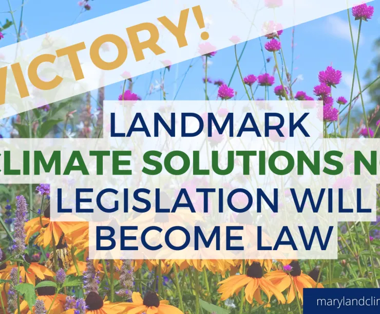 Climate Partners Graphics (19).png