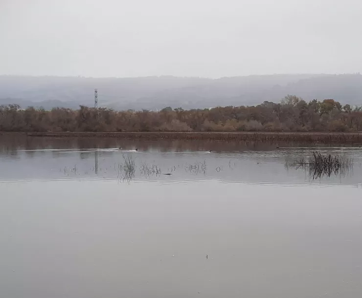 College Lake Photo.jpg