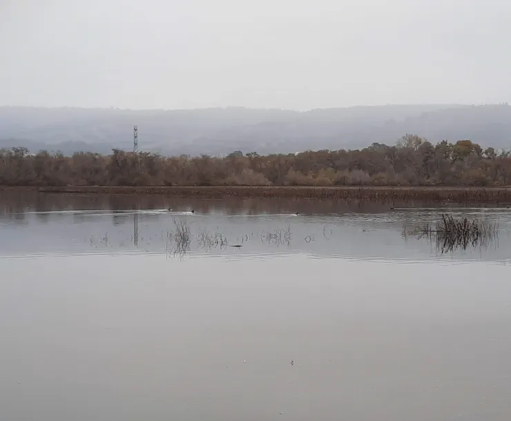 College Lake Photo.jpg