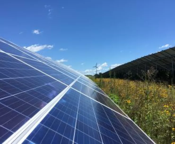 Community Solar 3.jpeg