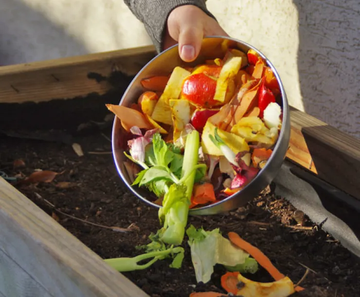 Compost image Moonshot right-About-Us.jpg