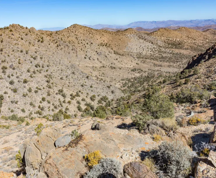 Conglomerate Mesa-Hihn-medium.jpg