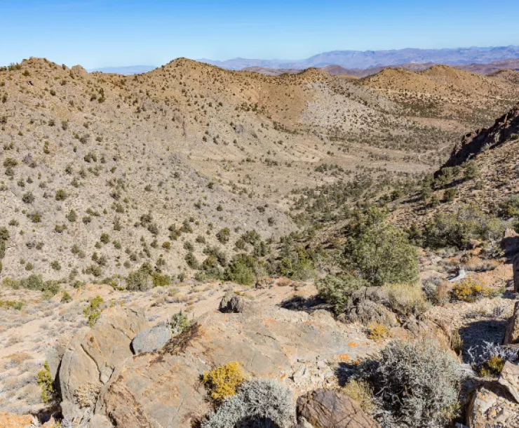 Conglomerate Mesa-Hihn-medium.jpg