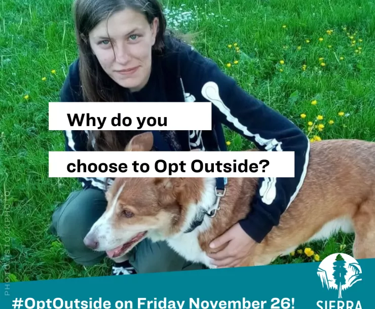 Copy of 6A - Short Text Over Photo.png