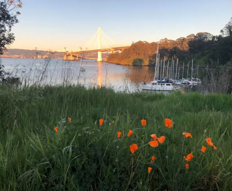 CoveWithRaftUpAndFlowers.jpg