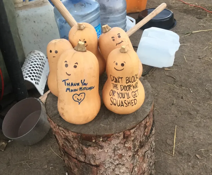 DAPL Picture.JPG
