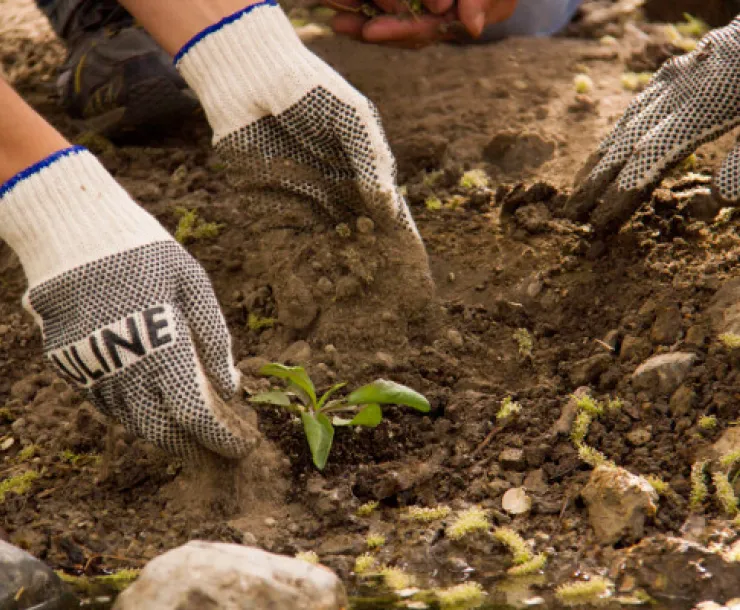 DNWR_Planting_jwitt.jpg