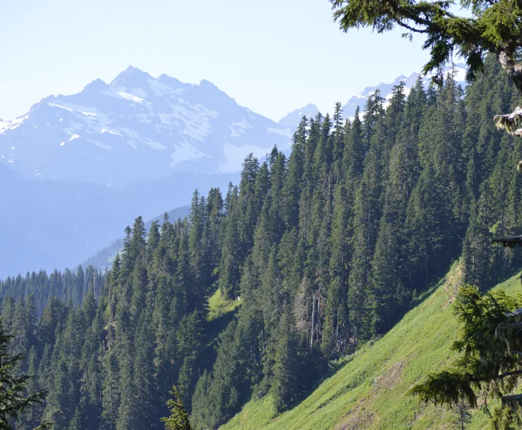DSC_0115 1.JPG