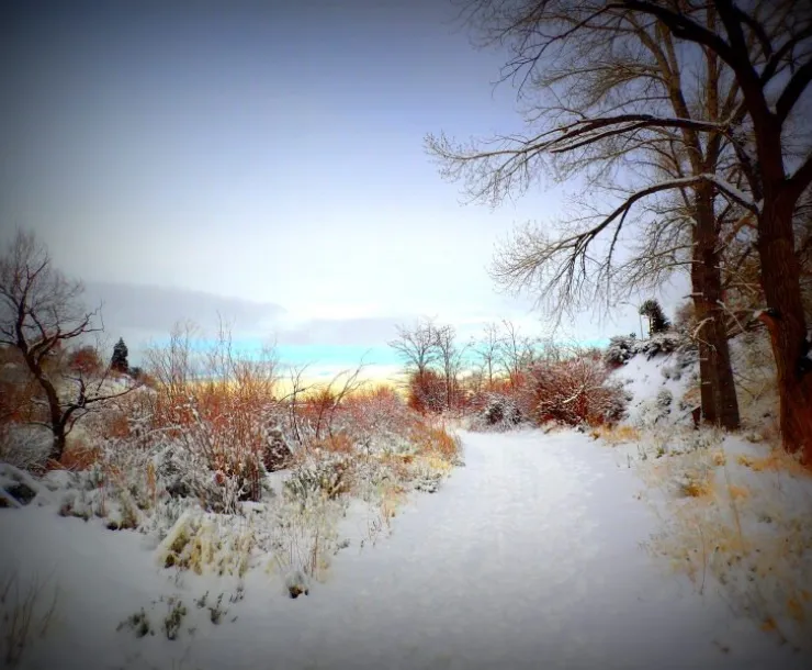 Ditch Winter - lb.JPG