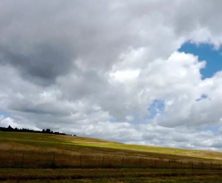 East Meadow Jim Clifford.jpg