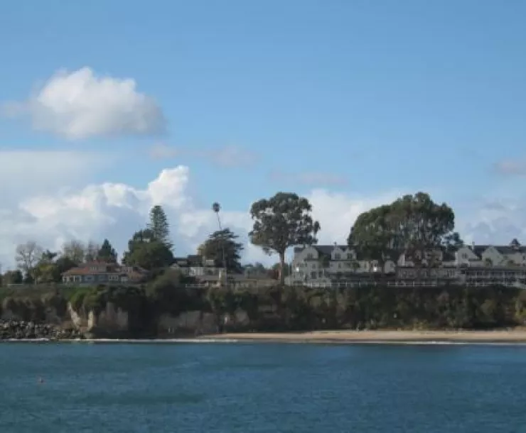 Eucalyptus Trees on the Bluff.jpg