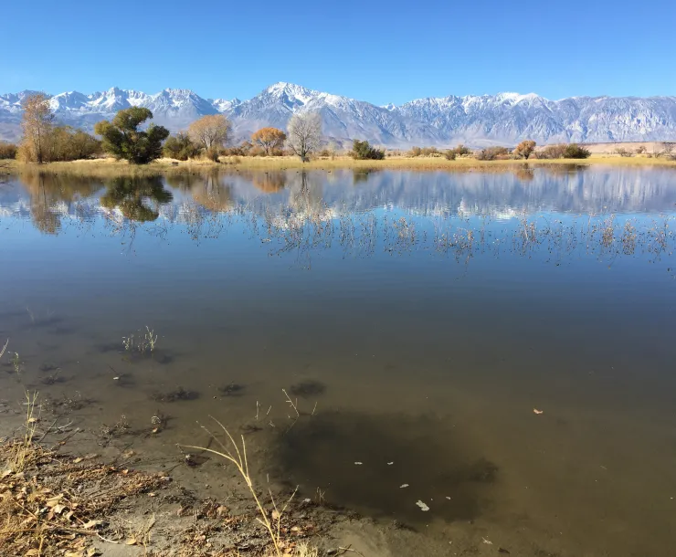 Farmer's Pond.JPG