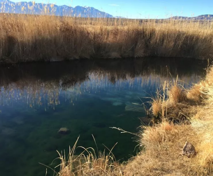 FishSlough.jpg