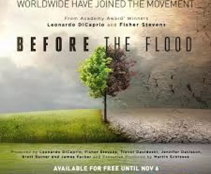 Flood 2.jpg