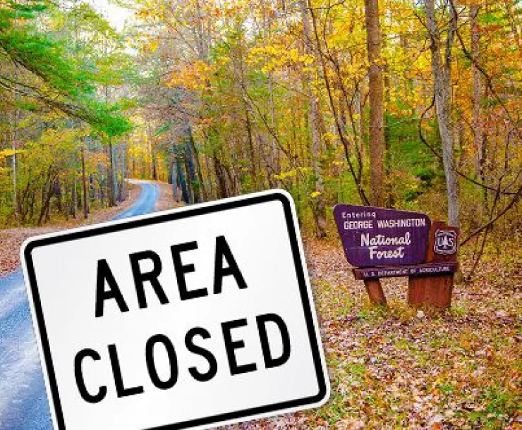 Forest Service Rule.jpg