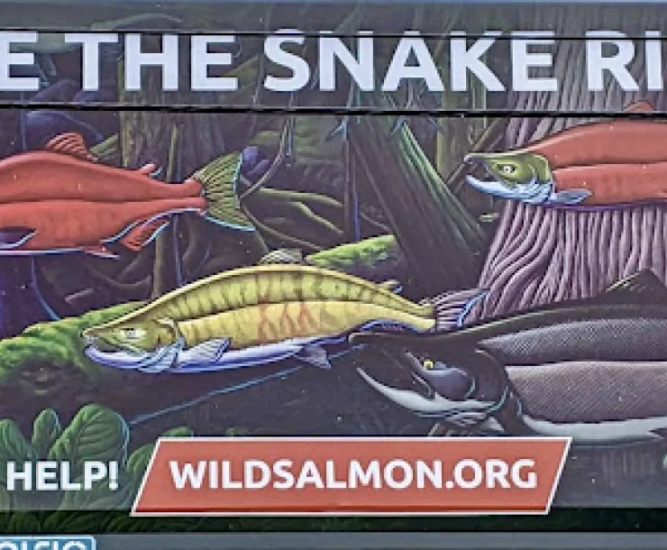 Free the Snake River_Billboard at SE Madison+SE 11th PDX_PC Irene Vlach.jpeg