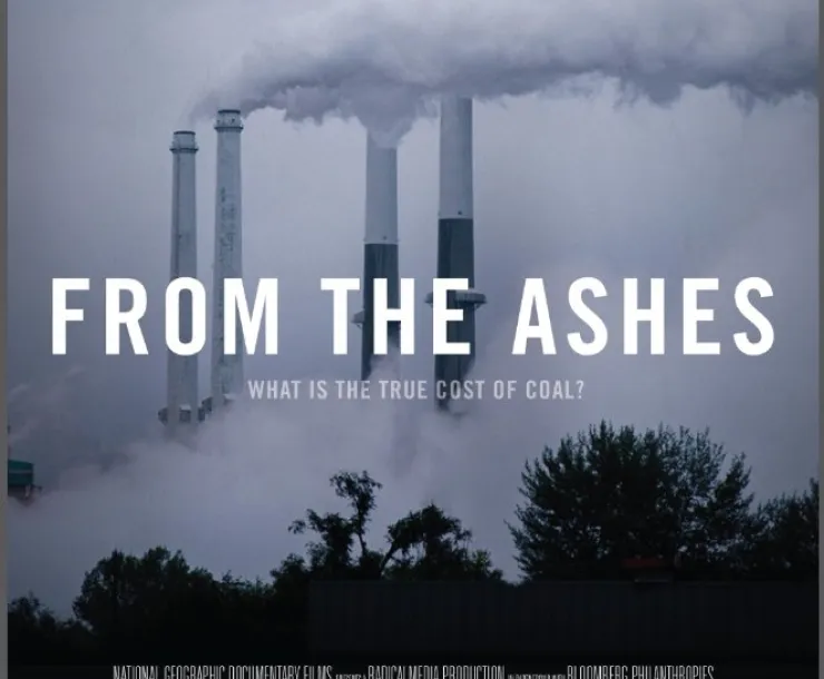 From Ashes .jpg