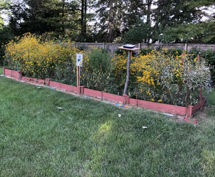 Garden Picture.jpg