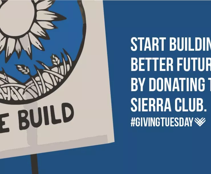 Giving Tuesday 2020 Sierra Club.jpg