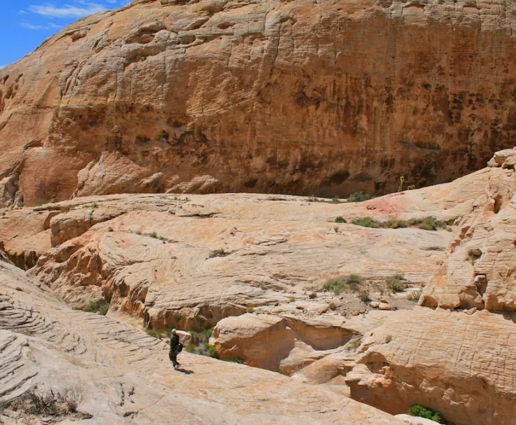 Gold Butte National Monument 6(D. Ghiglieri) - 2010-04-23.jpg