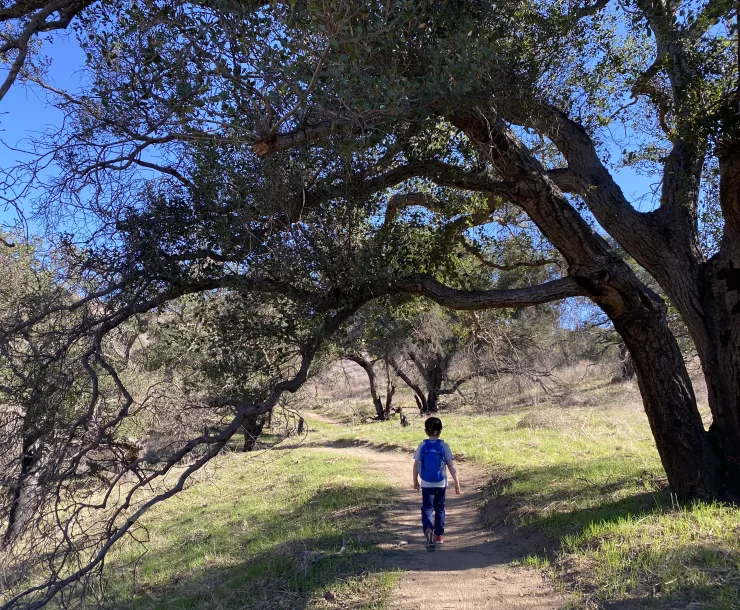 Harmon Canyon hiker courtesy VLT.jpg