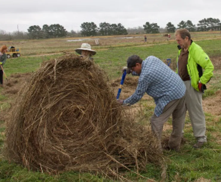 Hay-Baleing-1.jpg