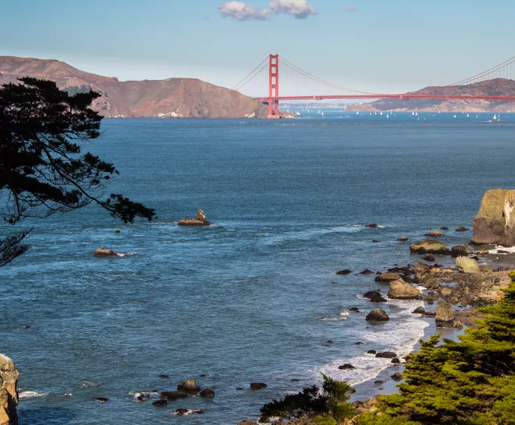 Header Image.jpg