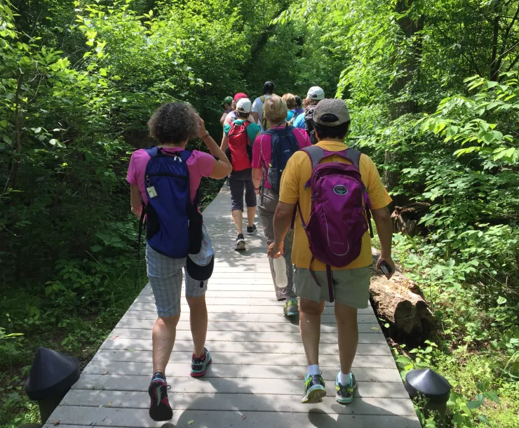 Hiking.JPG