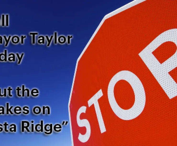 Hit-the-brakes-on-Vista_Ridge.jpg