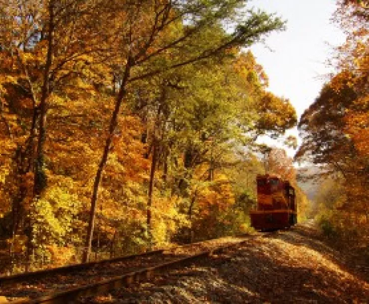 HiwasseeRiverRail.JPG