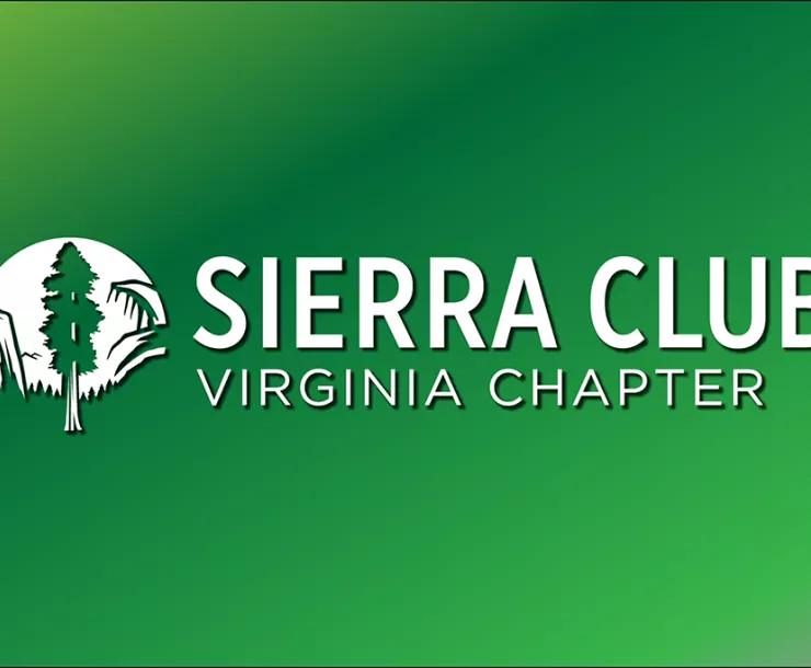 Horizontal thumbnail for website releases.png