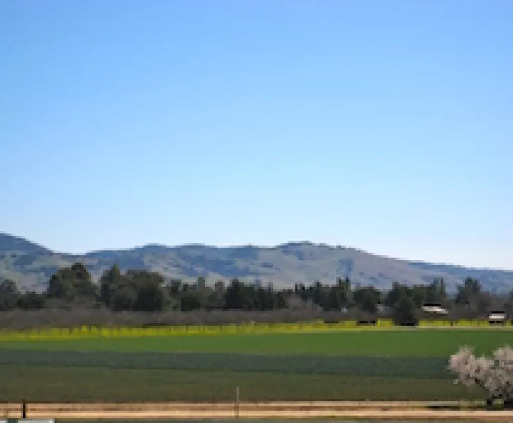HutchesonFarmlandSEQNov.jpg