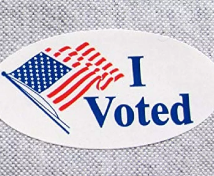 I voted.jpg