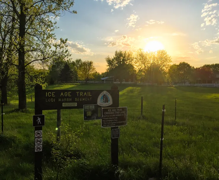 IAT-Lodi-Marsh-002.jpg