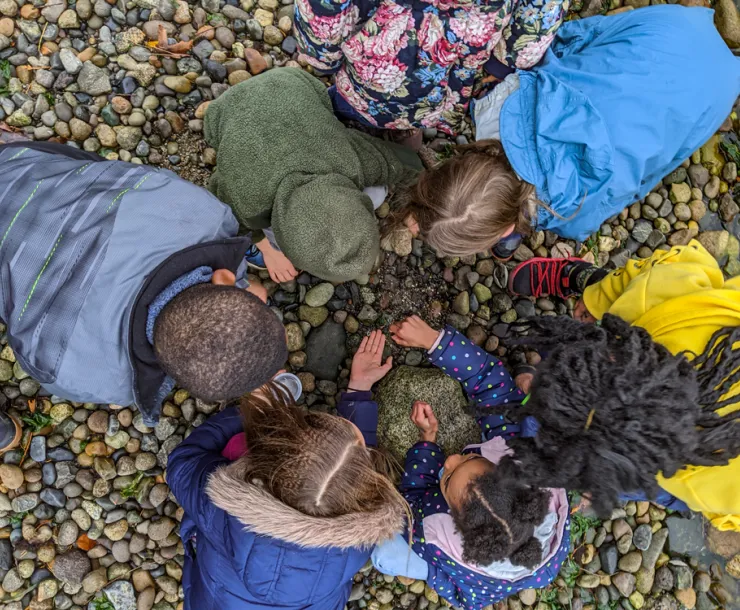 ICO-Blog-headerScouting-for-Crabs.jpg