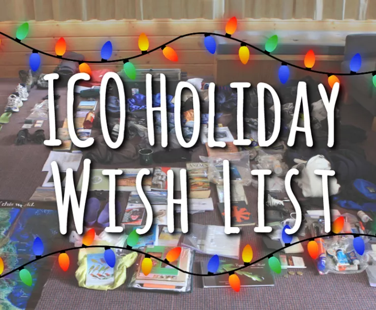 ICO_holiday_wishlist.jpg