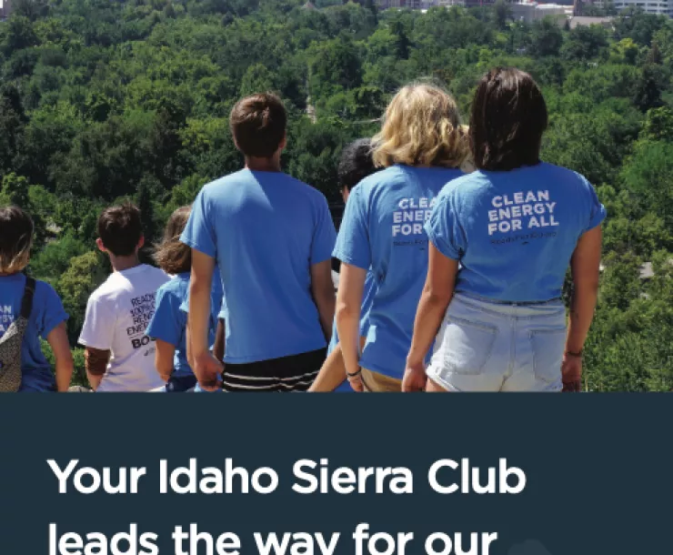 Idaho Chapter brochure cover.png