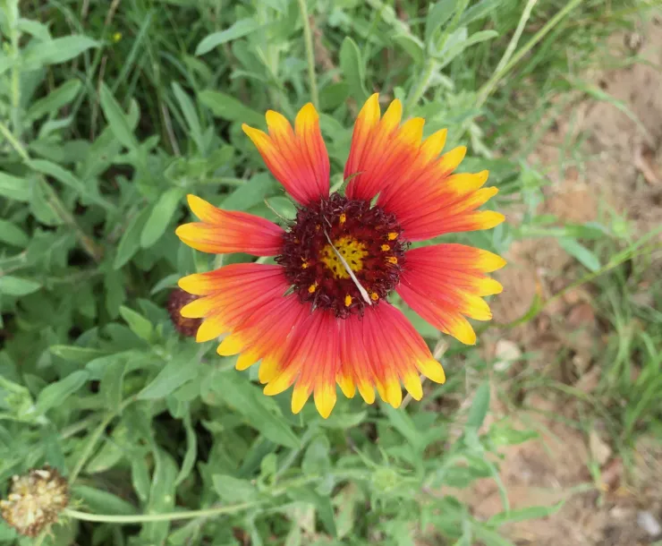 filename