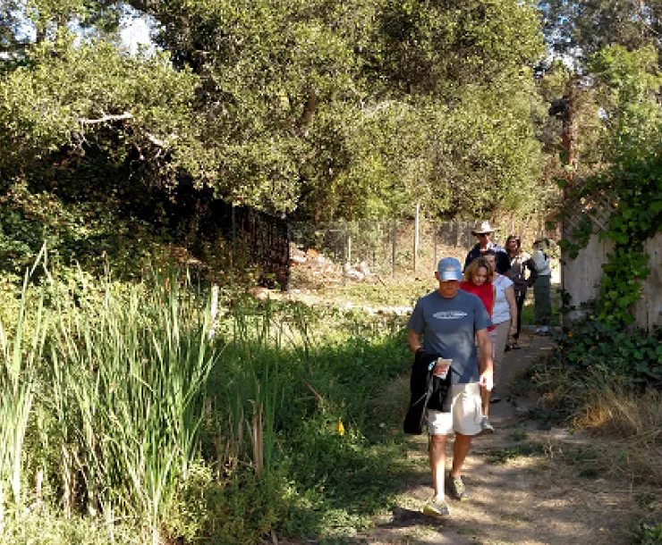 Jesse Street Marsh 2016.png