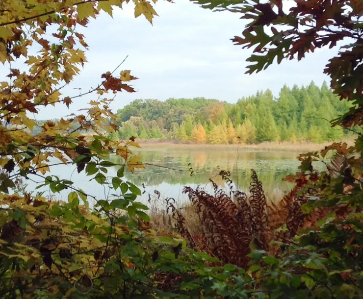 John-Muir-Lake-Ennis-image-2.jpg