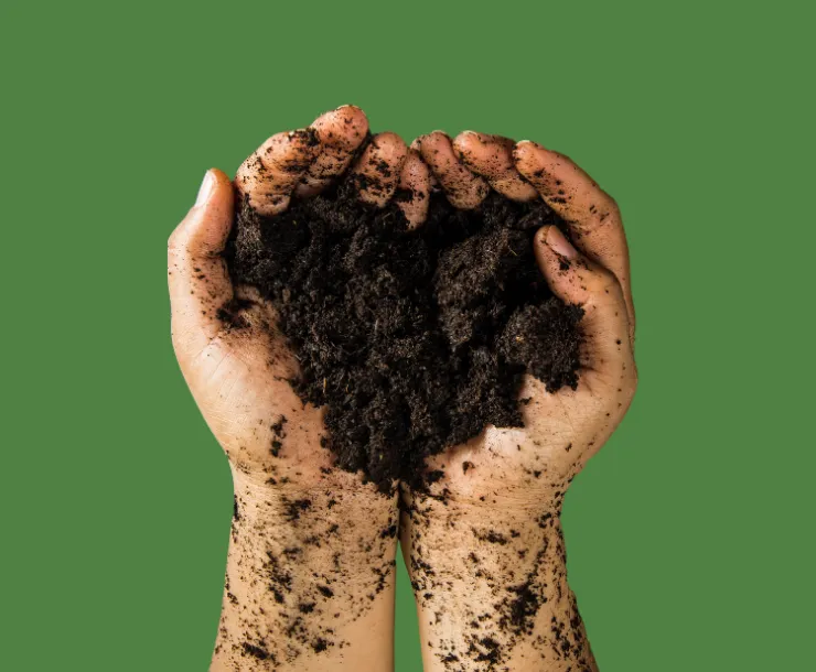 Kentucky THRIVES blog thumbnail (1).png