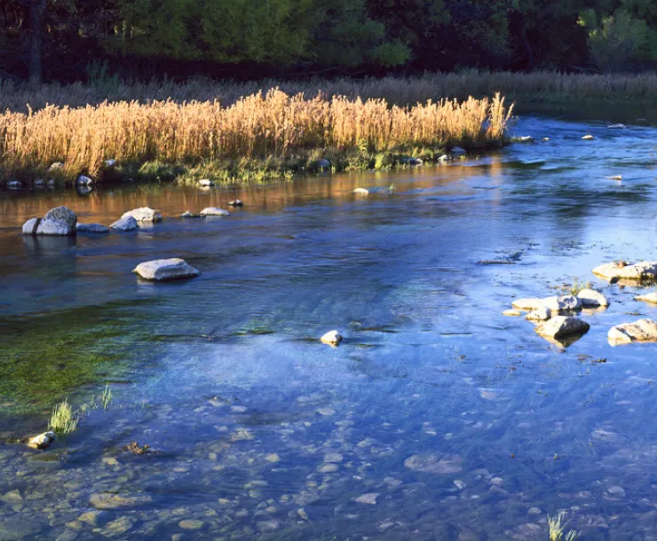 Kruvand-Chris-Texas-Creek.jpeg