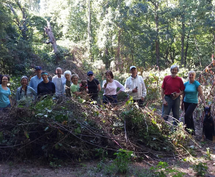Kudzu clean up.jpg